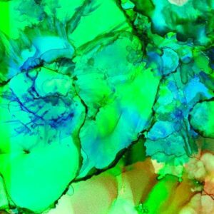 Exploring Alcohol Ink with Terri Austin